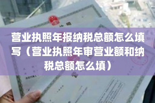 营业执照年报纳税总额怎么填写（营业执照年审营业额和纳税总额怎么填）