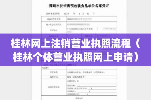 桂林网上注销营业执照流程（桂林个体营业执照网上申请）