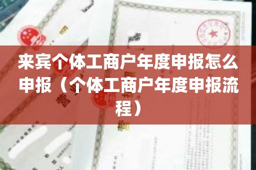 来宾个体工商户年度申报怎么申报（个体工商户年度申报流程）