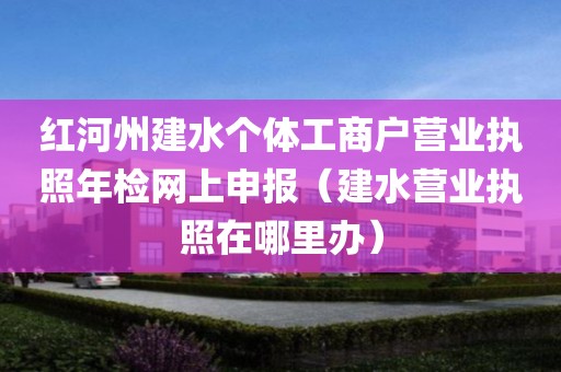 红河州建水个体工商户营业执照年检网上申报（建水营业执照在哪里办）