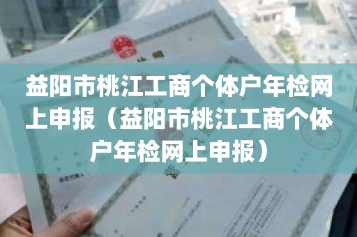 益阳市桃江工商个体户年检网上申报（益阳市桃江工商个体户年检网上申报）