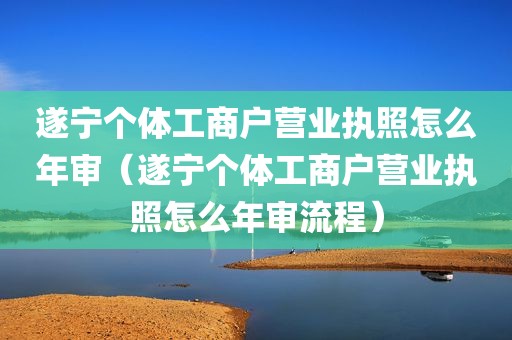 遂宁个体工商户营业执照怎么年审（遂宁个体工商户营业执照怎么年审流程）