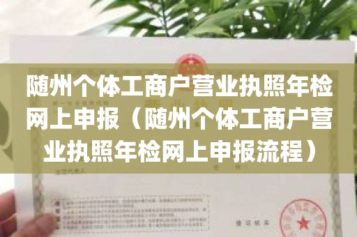 随州个体工商户营业执照年检网上申报（随州个体工商户营业执照年检网上申报流程）