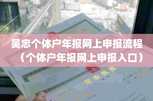 吴忠个体户年报网上申报流程（个体户年报网上申报入口）