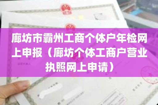 廊坊市霸州工商个体户年检网上申报（廊坊个体工商户营业执照网上申请）