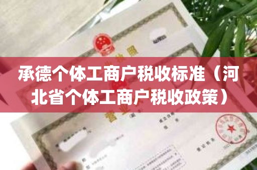 承德个体工商户税收标准（河北省个体工商户税收政策）