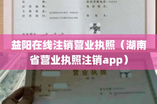 益阳在线注销营业执照（湖南省营业执照注销app）