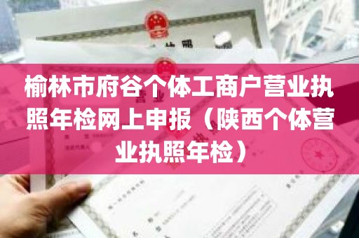 榆林市府谷个体工商户营业执照年检网上申报（陕西个体营业执照年检）