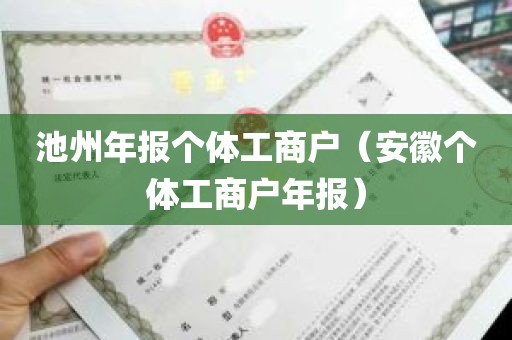 池州年报个体工商户（安徽个体工商户年报）