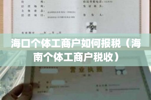 海口个体工商户如何报税（海南个体工商户税收）