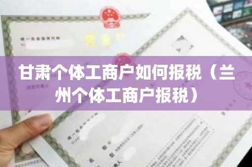 甘肃个体工商户如何报税（兰州个体工商户报税）