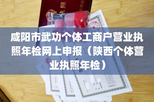 咸阳市武功个体工商户营业执照年检网上申报（陕西个体营业执照年检）