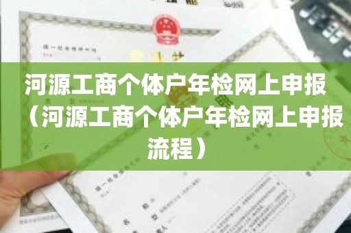 河源工商个体户年检网上申报（河源工商个体户年检网上申报流程）