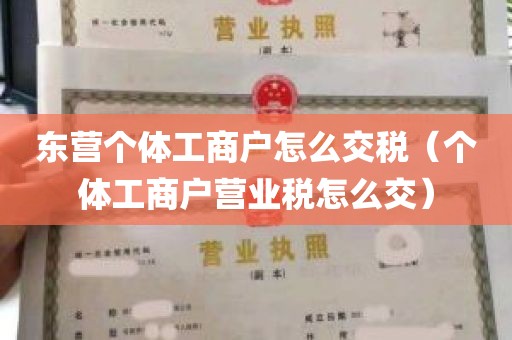 东营个体工商户怎么交税（个体工商户营业税怎么交）