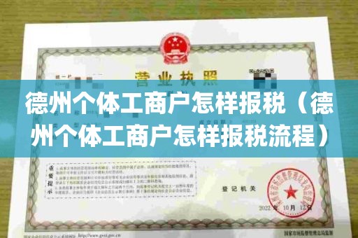 德州个体工商户怎样报税（德州个体工商户怎样报税流程）