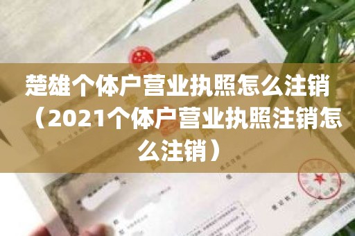 楚雄个体户营业执照怎么注销（2021个体户营业执照注销怎么注销）