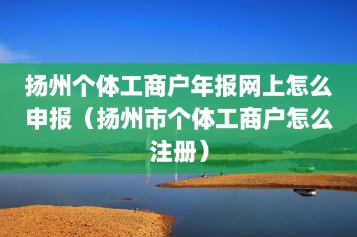 扬州个体工商户年报网上怎么申报（扬州市个体工商户怎么注册）