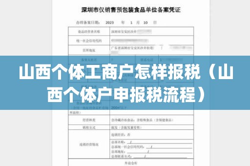 山西个体工商户怎样报税（山西个体户申报税流程）