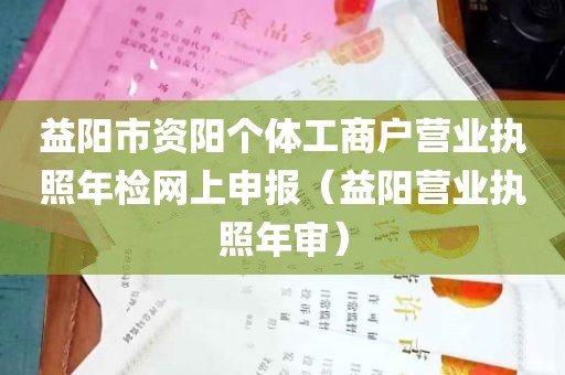 益阳市资阳个体工商户营业执照年检网上申报（益阳营业执照年审）