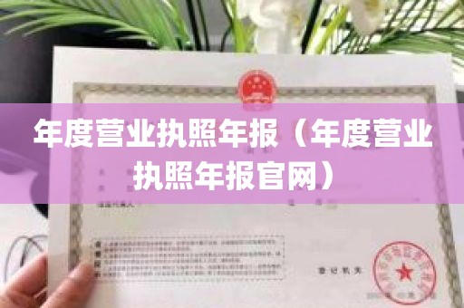 年度营业执照年报（年度营业执照年报官网）