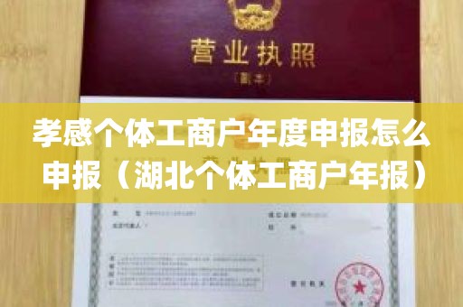 孝感个体工商户年度申报怎么申报（湖北个体工商户年报）