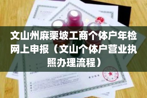 文山州麻栗坡工商个体户年检网上申报（文山个体户营业执照办理流程）