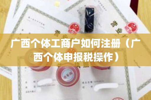 广西个体工商户如何注册（广西个体申报税操作）