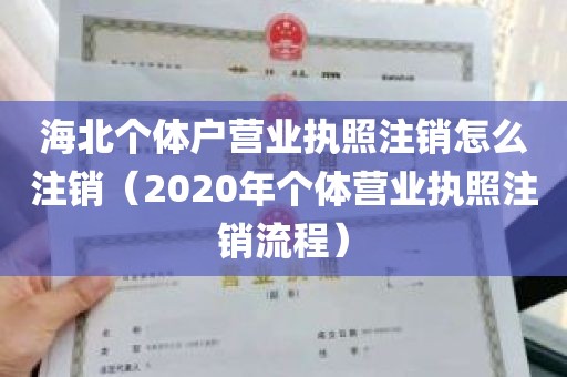 海北个体户营业执照注销怎么注销（2020年个体营业执照注销流程）