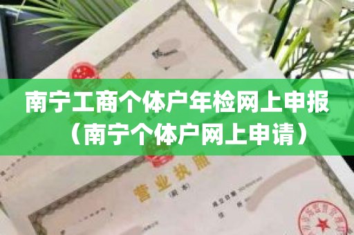 南宁工商个体户年检网上申报（南宁个体户网上申请）