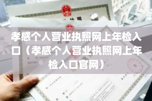 孝感个人营业执照网上年检入口（孝感个人营业执照网上年检入口官网）