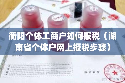 衡阳个体工商户如何报税（湖南省个体户网上报税步骤）