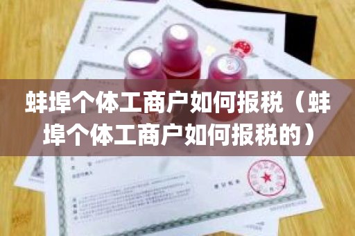 蚌埠个体工商户如何报税（蚌埠个体工商户如何报税的）