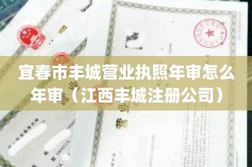 宜春市丰城营业执照年审怎么年审（江西丰城注册公司）