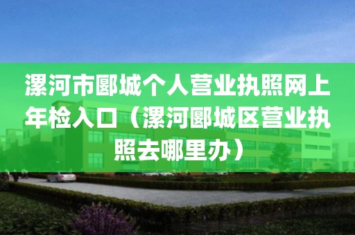 漯河市郾城个人营业执照网上年检入口（漯河郾城区营业执照去哪里办）