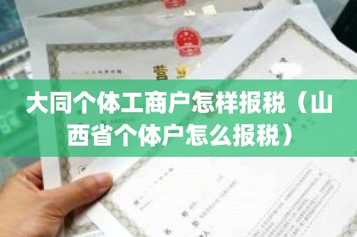 大同个体工商户怎样报税（山西省个体户怎么报税）