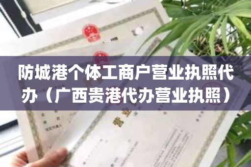 防城港个体工商户营业执照代办（广西贵港代办营业执照）