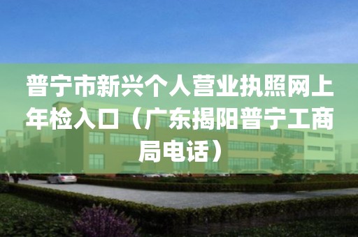 普宁市新兴个人营业执照网上年检入口（广东揭阳普宁工商局电话）