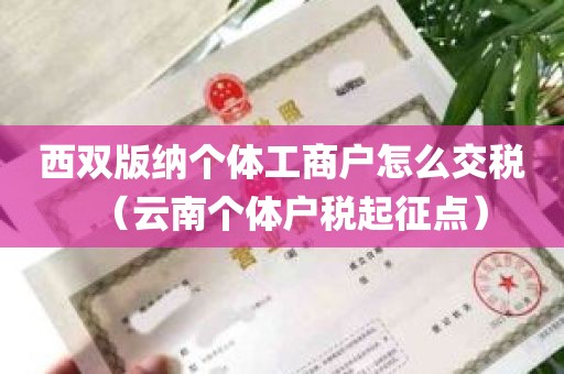 西双版纳个体工商户怎么交税（云南个体户税起征点）