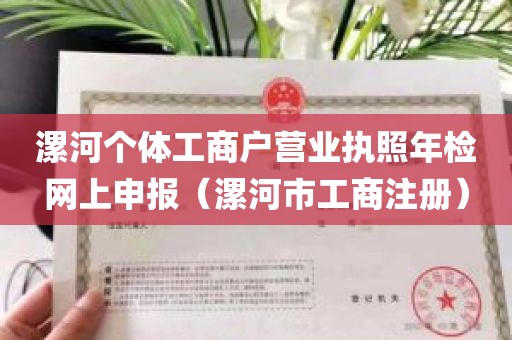 漯河个体工商户营业执照年检网上申报（漯河市工商注册）