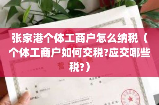 张家港个体工商户怎么纳税（个体工商户如何交税?应交哪些税?）