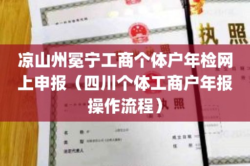 凉山州冕宁工商个体户年检网上申报（四川个体工商户年报操作流程）