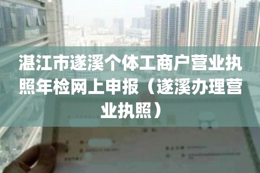 湛江市遂溪个体工商户营业执照年检网上申报（遂溪办理营业执照）