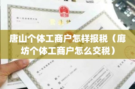 唐山个体工商户怎样报税（廊坊个体工商户怎么交税）