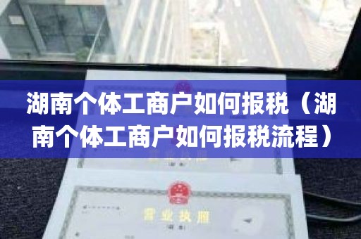 湖南个体工商户如何报税（湖南个体工商户如何报税流程）