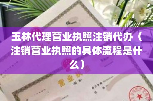 玉林代理营业执照注销代办（注销营业执照的具体流程是什么）