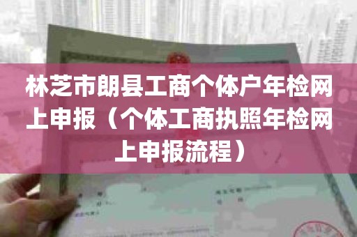 林芝市朗县工商个体户年检网上申报（个体工商执照年检网上申报流程）