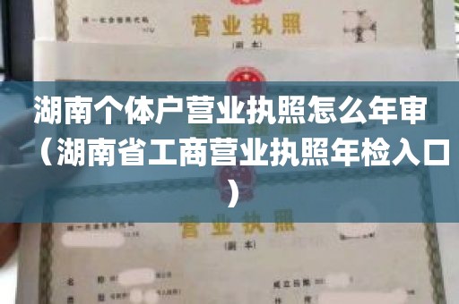 湖南个体户营业执照怎么年审（湖南省工商营业执照年检入口）