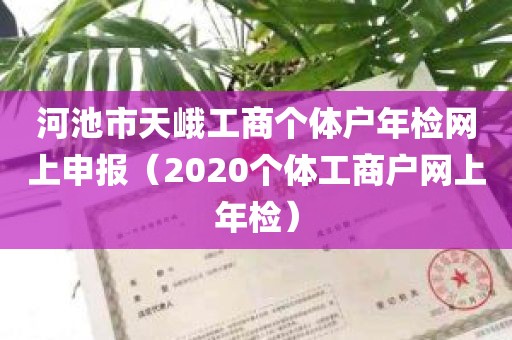 河池市天峨工商个体户年检网上申报（2020个体工商户网上年检）