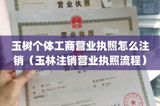 玉树个体工商营业执照怎么注销（玉林注销营业执照流程）