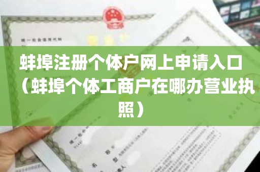 蚌埠注册个体户网上申请入口（蚌埠个体工商户在哪办营业执照）